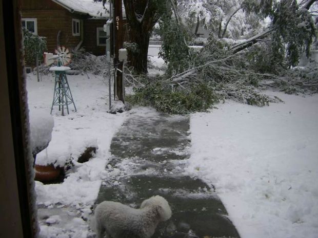 Winter Storm Atlas